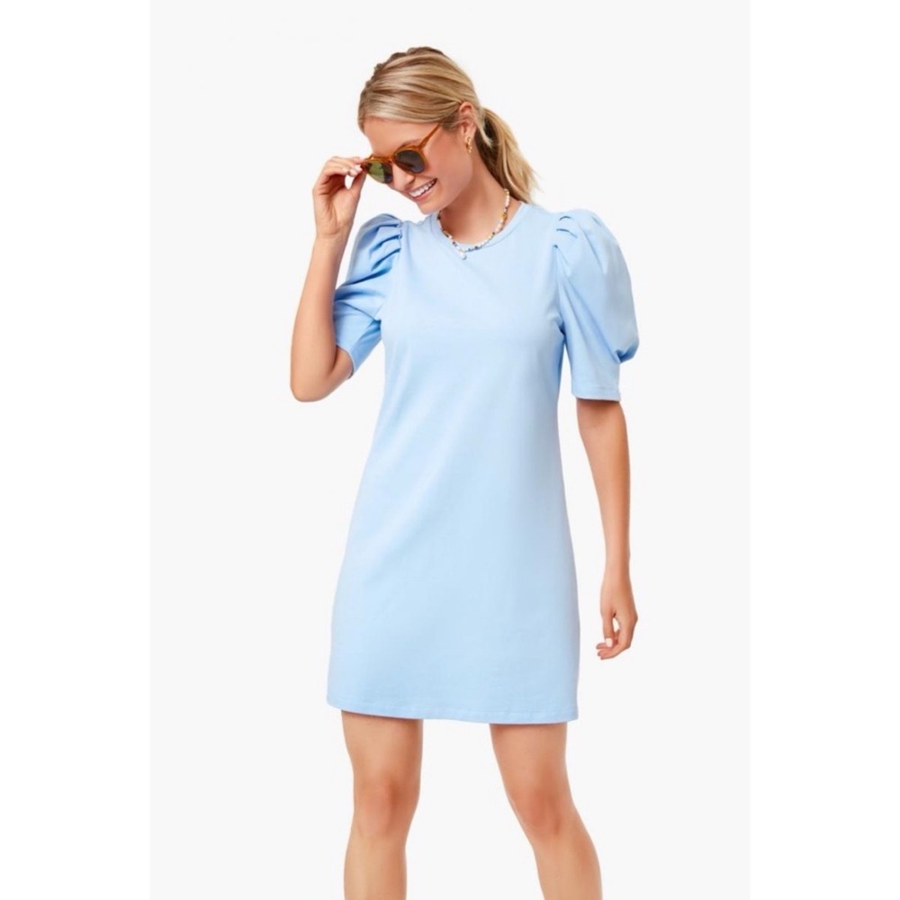 Tuckernuck Pomander Place Stella Puff Sleeve Mini Dress Periwinkle Blue XXL 2XL